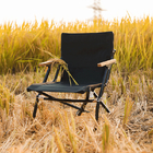 Portable Fur Seal Folding Beach Lounge Chair Low Back Aluminum Teak Armrest 58x65x69CM supplier