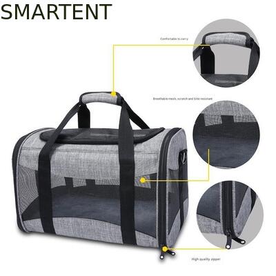 Large Cute Pet Supplies Unisex Indoor Outdoor Gear for Active Pets Featuring Comfortable Collars Leashes and Carriers supplier